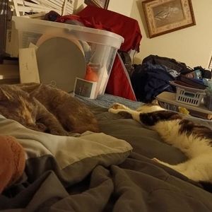 Meet your Posher, Tracy